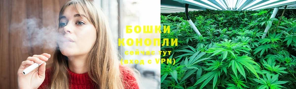 прущая мука Тайга