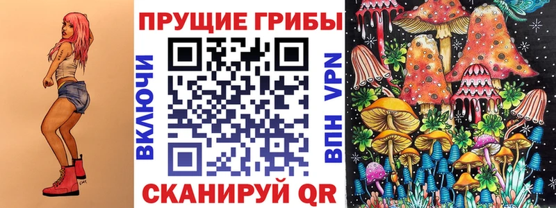 Псилоцибиновые грибы мицелий  купить закладку  OMG tor  Фокино 